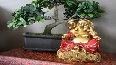 Photo of सुख-समृद्धि की प्राप्ति के लिए जरुर करें फेंगशुई से जुड़े ये उपाय
