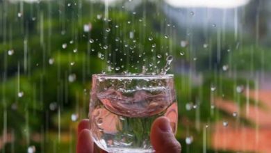 Photo of जीवन में कई परेशानियों को दूर करता हैं बारिश का पानी, जाने ये खास उपाय