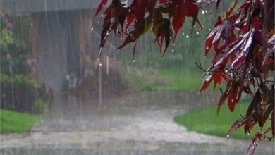 Photo of बारिश को लेकर इन राज्यों में जारी हुआ अलर्ट, मौसम विभाग के मुताबिक…