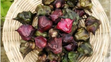 Photo of हार्ट के लिए बेहद फायदेमंद है सिंघाड़े, यहाँ जानिए क्या है फायदे