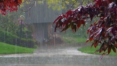 Photo of इन राज्यों में लौटा मानसून, भारी बारिश की उम्मीद￼