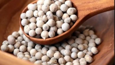 Photo of औषधीय गुणों के कारण स्वास्थ्य के लिए भी लाभदायक है  सफ़ेद मिर्च