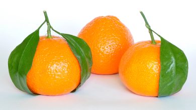 Photo of सेहत के लिए बेहद फायदेमंद होता हैं संतरा, जानें इसके फायदे