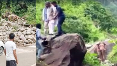 Photo of पूर्व सीएम त्रिवेंद्र सिंह रावत के काफिले के सामने आया हाथी, देखे वीडियो