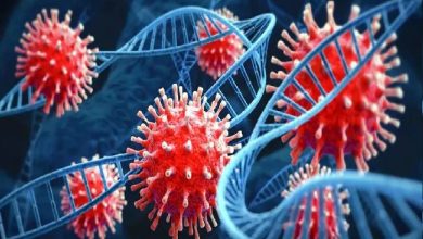 Photo of देश में पिछले 24 घंटे में आए कोरोना के 7 हजार 219 नए मामले￼￼