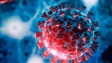 Photo of देश में पिछले 24 घंटे में आए कोरोना के 2529 नए मामले￼￼