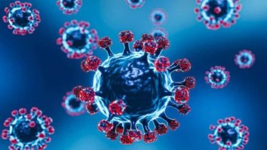Photo of देश में आमने आया ओमिक्रॉन का नया वैरिएंट BQ.1, जानें कितना हैं खतरनाक