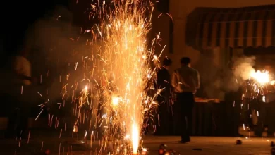 Photo of दिल्ली समेत इन राज्यों में आतिशबाजी और पटाखों पर प्रतिबंध, एक बार जरुर पढ़ ले पूरी खबर￼