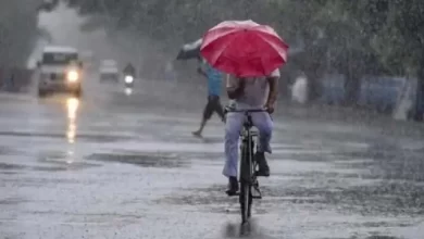 Photo of आज भी इन राज्यों में बारिश के आसार, मौसम विभाग ने जारी किया अलर्ट￼