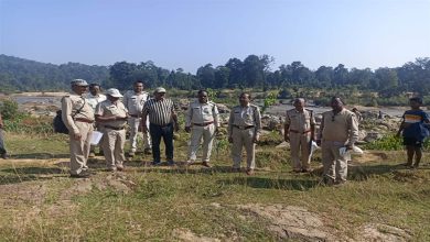 Photo of एक नवंबर से खुलेगा अचानकमार टाइगर रिजर्व, प्रबंधन ने प्रारंभ किया मरम्मत का कार्य
