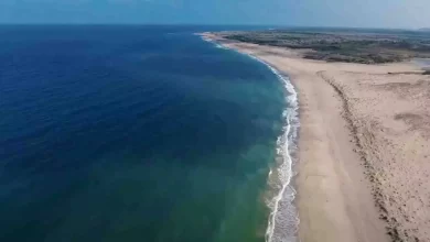 Photo of ‘ब्लू बीच’ की सूची में भारती के दो और समुद्र तटों को किया शामिल, पढ़े पूरी खबर