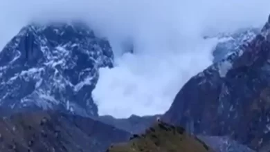 Photo of हिमस्खलन त्रासदी: मातली लाए गए 7 शव, खराब मौसम की वजह से…