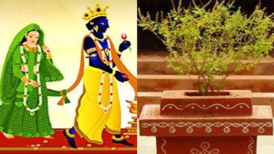 Photo of जानिए तुलसी विवाह का संपूर्ण पूजन सामग्री..