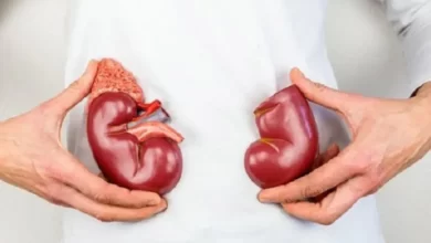 Photo of जानिए किडनी को स्वस्थ रखने के लिए डाइट टिप्स..