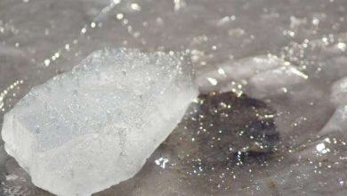 Photo of फिटकरी का इस्तेमाल कर आप अपने कई दोषों से छुटकारा पा सकते हैं जानें?