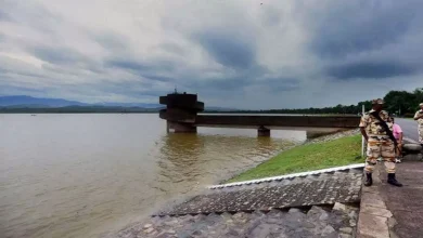 Photo of सिटी की लाइफ लाइन सुखना झील पर है मेहमान परिंदों में डेरा..