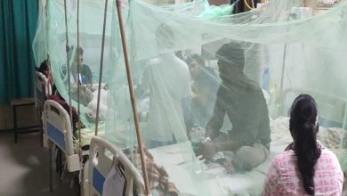 Photo of गाजियाबाद में बढ़ रहा डेंगू का केहर, सरकारी अस्पतालों वा निजी अस्पतालों के डेंगू वार्ड में बेड फुल