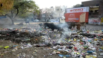 Photo of धूल-धुएं के साथ तेजी से बढ़ रही दमघोंटू कॉर्बन मोनोऑक्साइड गैस की मात्रा..
