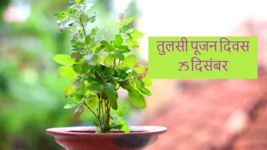 Photo of आज ही के दिन मनाया जाता है तुलसी पूजन दिवस, जानें पूजा विधि और महत्व..