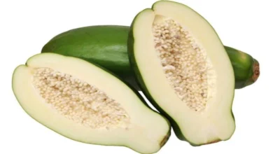 Photo of जानें कच्चा पपीता खाने के फायदे…