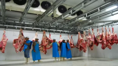 Photo of हल्दीपोखर में अवैध रूप से चल रही वधशाला, मामले में विक्रेता समेत आठ लोग गिरफ्तार