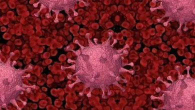 Photo of यहाँ पढ़े ओमिक्रॉन BF.7 के मामले से बचने के लिए क्या करें?