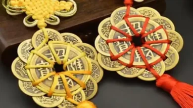Photo of करियर में सफलता पाने के लिए जानें ये कुछ बेहद साधारण से फेंगशुई टिप्स…