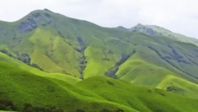 Photo of नए साल का जश्न मनाना चाहते हैं तो, जानें इन जगहों के बारे में..