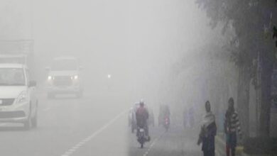 Photo of बिहार में पढने वाली है कड़ाके की ठंड, कई ज़िलों में पारा 10 से कम