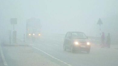Photo of मैदानी इलाकों में कोहरे, और शीतलहर ने किया लोगो का जीना दुश्वार…