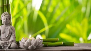 Photo of मानसिक परेशानी दूर भागने के लिए अपनाए ये आसान फेंगशुई टिप्स, जानें क्या