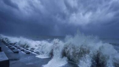 Photo of इन तीन राज्यों मे चक्रवाती तूफान ‘मैंडूस’ ने मचाई तबाही, NDRF टीम हुई अलर्ट