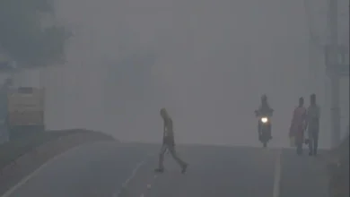 Photo of बिहार के 19 जिलों में घने कोहरे का विभाग ने ज़ारी किया अलर्ट…