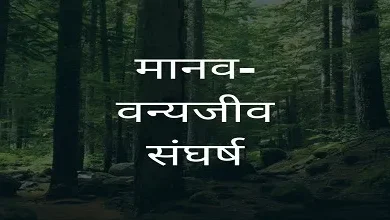 Photo of वन विभाग इस वजह से अलग सेल बनाने की तैयारी में, पढ़े पूरी ख़बर