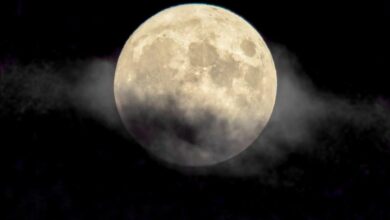 Photo of जाने कब है इस साल का अंतिम अमावस्या तिथि, पूजन विधि और महत्व..