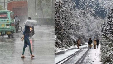 Photo of उत्तराखंड के मैदानी इलाकों में पहाड़ के मुकाबले रातें ज्यादा सर्द, पढ़े पूरी ख़बर