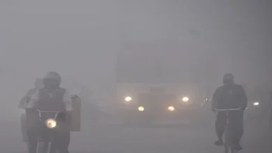 Photo of हिमाचल प्रदेश में कोहरे और ओस ने बढ़ाई लोगों की परेशानी, पढ़े पूरी ख़बर