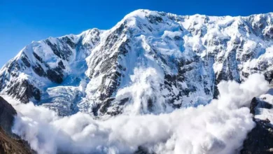 Photo of सोनमर्ग इलाके में आया भीषण हिमस्खलन, पढ़ें पूरी खबर ..