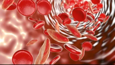 Photo of जानें पुरुषों में आयरन की कमी दूर करने के लिए क्या खाएं..  