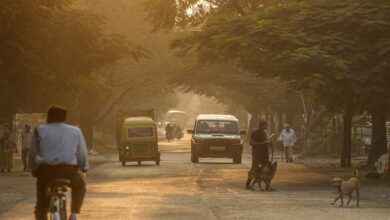 Photo of इंदौर में ठंड और तेज हवाओं सितम जारी, लोगों को परेशानियों का करना पड़ रहा सामना