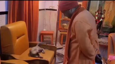 Photo of सीएम योगी का एक बार फिर दिखा पशु प्रेम, पढ़े पूरी ख़बर