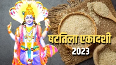 Photo of षटतिला एकादशी के दिन ज़रूर करें ये उपाय…