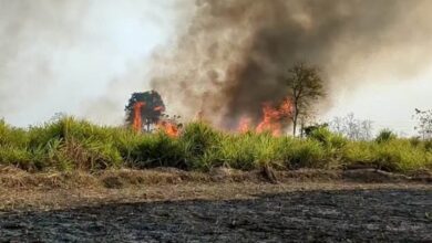 Photo of कवर्धा में एक बार फिर गन्‍ने के खेत में भीषण आग लगने से लगभग 40 एकड़ की फसले जलकर हुई राख..