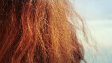 Photo of रूखे बेजान बालों की समस्या से छुटकारा पाने के लिए अपनाएं ये ख़ास टिप्स