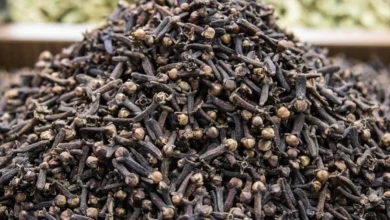 Photo of यहाँ जानें लौंग को खाने के फायदे..