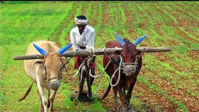 Photo of पीएम किसान सम्मान निधि योजना के लाभार्थियों के लिए काम की खबर ..