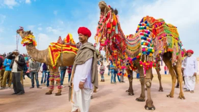 Photo of अगर आप भी राजस्थान की संस्कृति का आनंद उठाना चाहते हैं, तो ये टूर पैकेजेस आपके आएंगे काम..