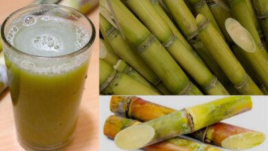 Photo of चलिए जानते हैं गन्ने के जूस के कुछ गजब के फायदे-