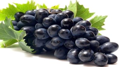 Photo of आज हम आपको बताएंगे काले अंगूर खाने के अनगिनत फायदों के बारे में..