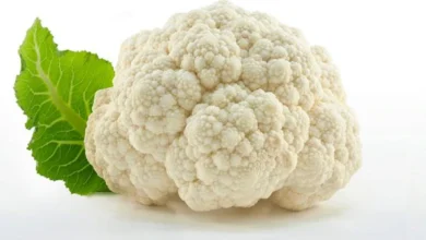 Photo of फूलगोभी खाने के जितने फायदे हैं तो इसके कुछ सामान्य साइड-इफेक्ट्स भी है ,जानें..  